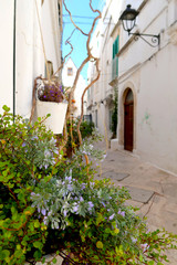 Fototapeta na wymiar Street in Locorotondo town, Italy, region of Apulia, Adriatic Sea - blooming flowers in the foreground