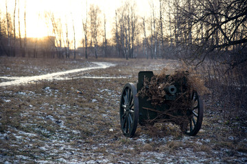 Fototapeta na wymiar An artillery cannon masked branches.