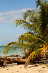 Obraz na płótnie Canvas Stunning beauty of Caribbean coast, Costa Rica