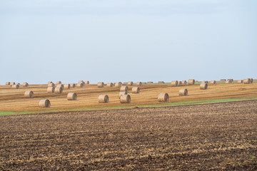 Hay Bales On Field during harvesting season against Sky