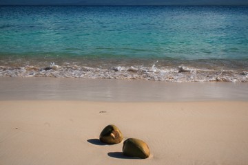 Kokosnüsse am Strand