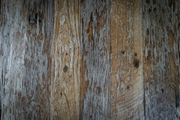 grungy wooden wall use for background.