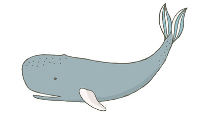 Animals While penguin shark space  brush art instagram  modern  social media    