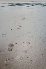 Set of foot prints in the wet sand