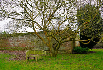 Bench under a tree in the park, Kent, UK 