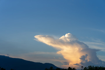 Crocodile shape cloud on blue sky