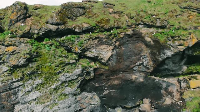 Rugged, sharp rocks full of sea caves worn by ages of erosion. Iceland cliff. Recorded on the cliff at Dyrh&oacute;laey Lighthouse.