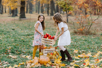 Two cute sisters in long white dresses hold in hands basket of ripe fruits and vegetables. Rich harvest . Agriculture. Soft focus