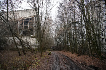 Abandoned ghost town Prypiat. Overgrown trees and collapsing buildings in Chornobyl exclusion zone....