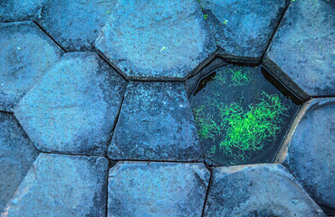 Close-up of stones of the Giant's Causeway