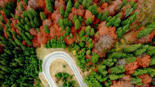 Aerial view of autumn nature along Transfagarasan highway