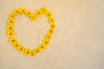 Heart shape Sphagneticola trilobata flower on sand.