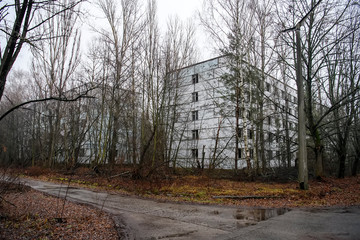 Abandoned ghost town Prypiat. Overgrown trees and collapsing buildings in Chornobyl exclusion zone. December 2019