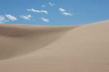 sand dune field at the Imperial Sand Dunes Recreation Area