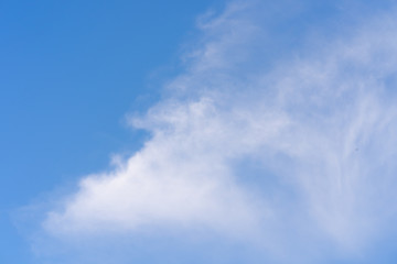 Tiny cloud on blue sky use for background.