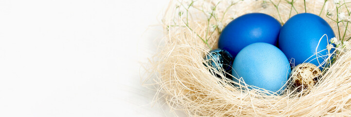 Banner with Easter eggs in blue colors in a nest. Copy space. The concept of stylish decoration for Easter, greeting cards, etc.