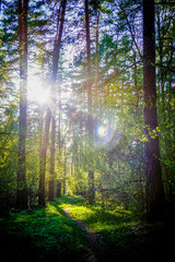 Fototapete bei efototapeten.de bestellen   