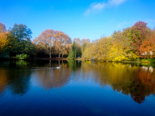 Reflection of Autumn and Fall Colored Trees in Lake Water
