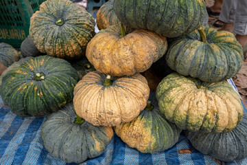 Stacking pumpkin for sale at market