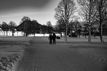 people walking in the park winter