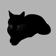 Cat silhouette. Vector illustration. Black cat on grey background