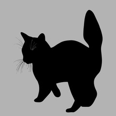 Cat silhouette. Vector illustration. Black cat on grey background