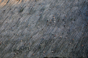 Thatched roof, straw