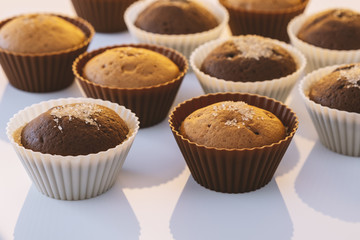 Cupcake. Tasty food cake. Chocolate muffins sprinkle with powdered sugar. Bakery products. Black and white, light and shadow