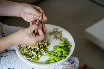 Women Hands Peeling Shield Stink Bean