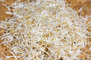 Fresh bean sprouts on sale at market