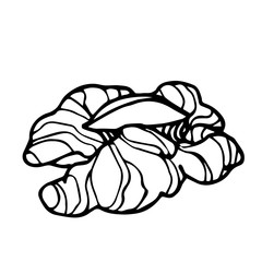 part of a walnut core, an element of a decorative ornament or pattern, vector illustration with black contour lines isolated on a white background in a Doodle and hand drawn style