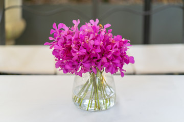 Beautiful blossom purple flower in vase on table.