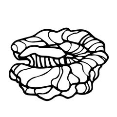 part of a walnut core, an element of a decorative ornament or pattern, vector illustration with black contour lines isolated on a white background in a Doodle and hand drawn style
