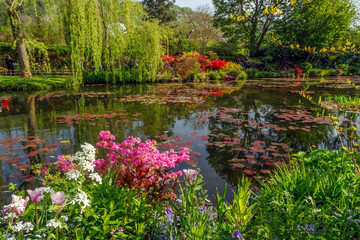 Fototapety  Piękny staw liliowy wiosną w ogrodzie Claude& 39 a Moneta, kwiaty i rośliny odbijające się w wodzie. Giverny, Francja.