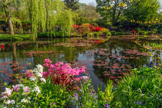 Beautiful lily pond in spring in Claude Monet's garden, flowers and plants reflected in the water. Giverny, France.