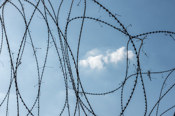 Barbed wire fence with blue sky and a cloud