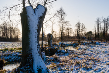 Zima na Podlasiu, Polska © podlaski49