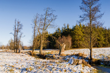 Zima na Podlasiu, Polska © podlaski49