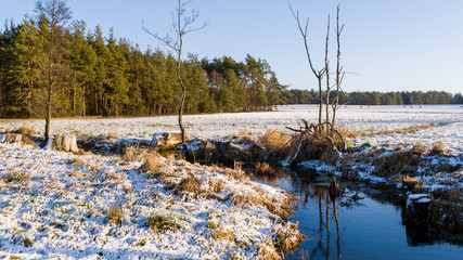 Zima na Podlasiu, Polska © podlaski49