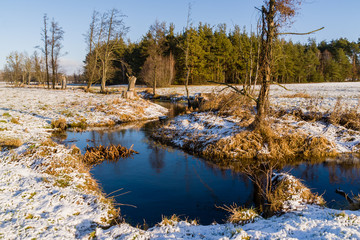 Zima na Podlasiu, Polska © podlaski49