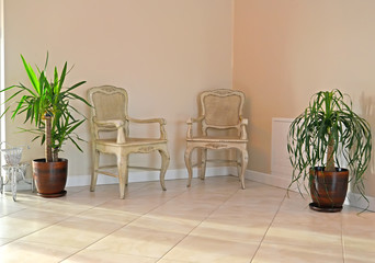 Two chairs and houseplants in a hall interior