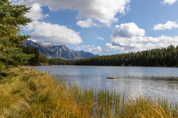 Fototapeta na wymiar meadow , forest and mountains of canada