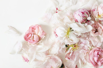 Close up of fading pink roses and peonies flowers petals isolated on white table background. Floral frame composition. Decorative web banner. Styled stock photo. Empty space, flat lay, top view scene.