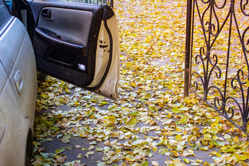 a blurry photo of an open car door at an autumn sunset