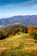 Naklejka premium Pawlowska Mountain in Pieniny in Autumn at Radziejowej Range background in Beskid Sadecki