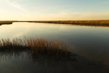 Foto op Plexiglas Light of Setting Sun over Estuary Pool in Galveston Island State Park wetlands © warren_price