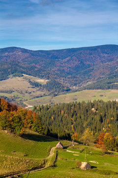 Montane meadow Polonina Kiczera in Pieniny in Autumn at Radziejowej Range background in Beskid Sadecki.