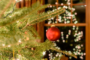 Red Ornament on the Christmas Tree with Festive Lights