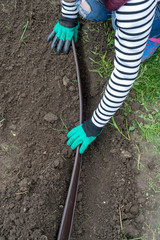 Create lawn edge in the garden