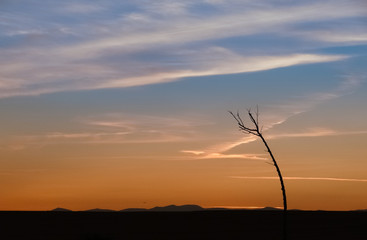 Atardece